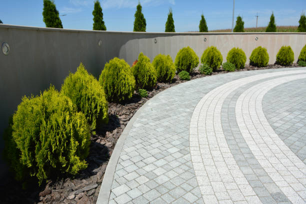 Best Residential Paver Driveway  in USA